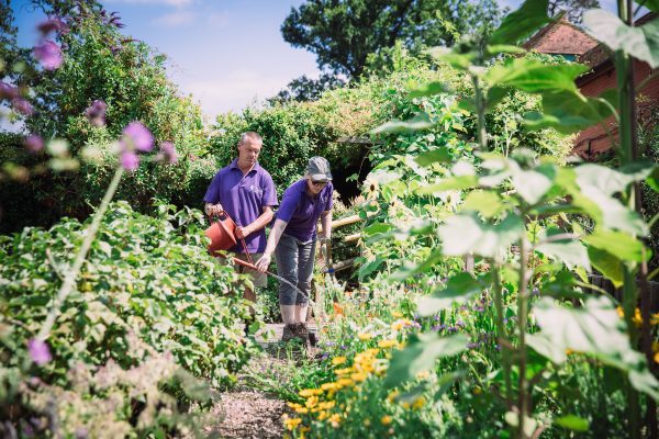 Two people in garden using a watering can