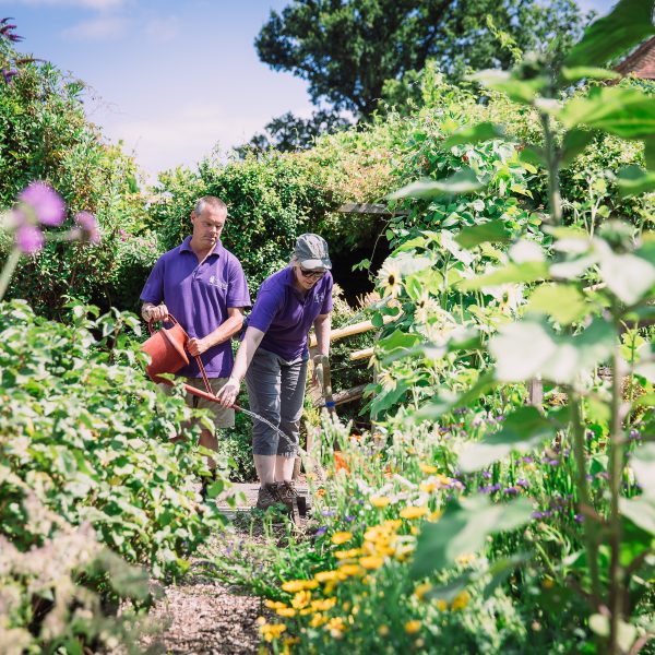 Two people in garden using a watering can