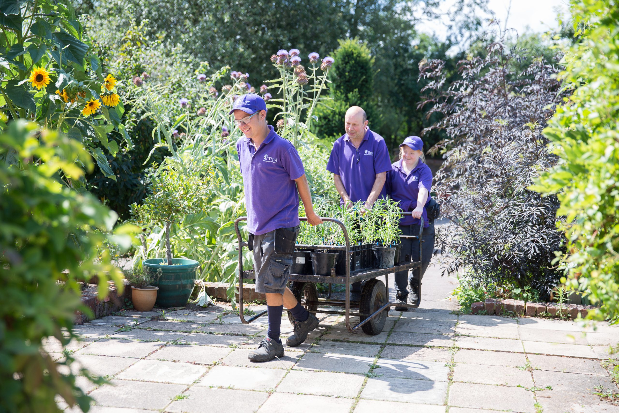 Three people in the Thrive garden pulling a trolley full of plants